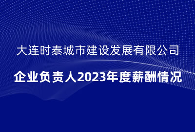 大連時泰城市建設(shè)發(fā)展有限公司 企業(yè)負責(zé)人2023年度薪酬情況